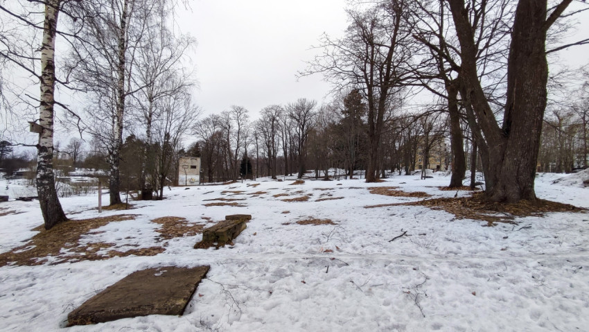 Зимний парк с деревьями и остатками снега