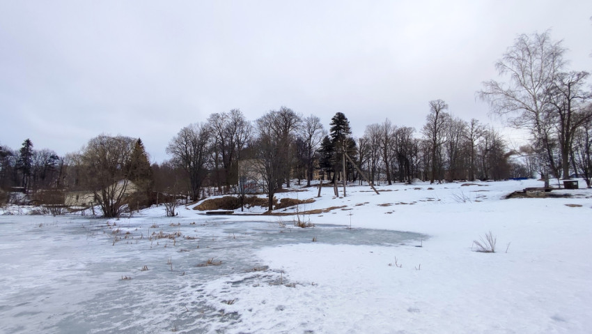 Замерзший пруд и заснеженный берег с деревьями