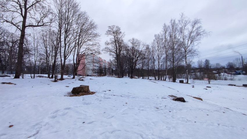 Зимний пейзаж с жилыми домами и заснеженными деревьями