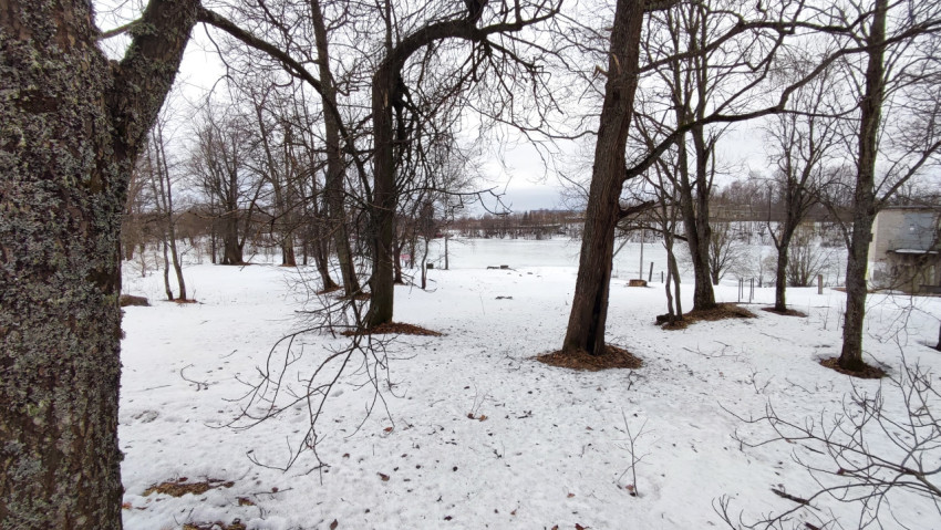 Заснеженный парк у замёрзшего водоёма зимой