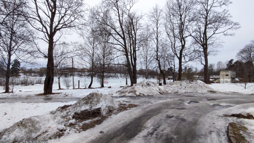Зимняя аллея у замёрзшего водоёма