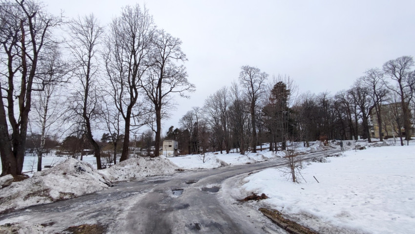 Зимняя дорога в парке с деревьями и замёрзшим озером