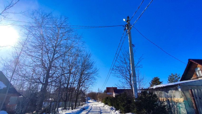 Узкая пригородная улица с опорой электросети и хвойными насаждениями