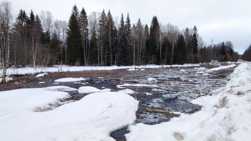 Талые воды и снег на лесной просеке