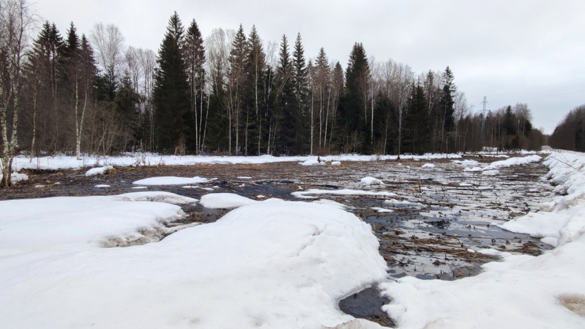 Весеннее таяние снега у лесной линии электропередачи