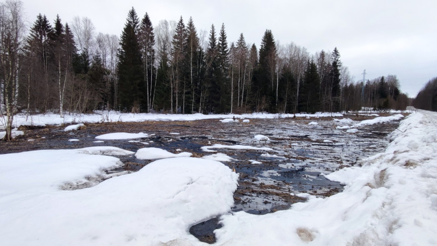 Весеннее таяние снега вдоль лесной дороги