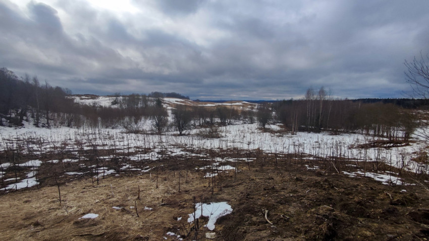 Зимний холмистый ландшафт с тающим снегом и сухой растительностью