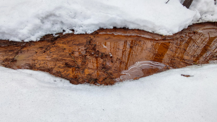 Талый поток с отражением деревьев в лесу зимой