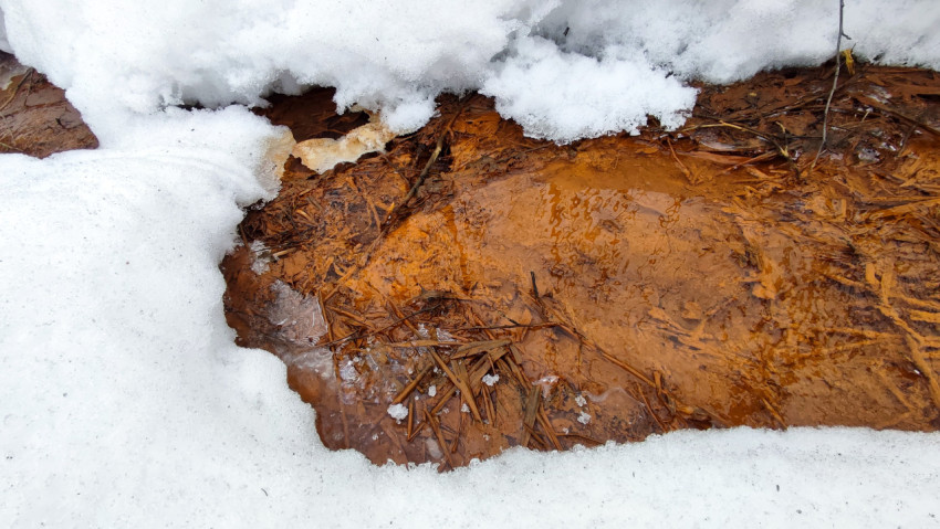 Рыжеватый ручей талой воды под снегом