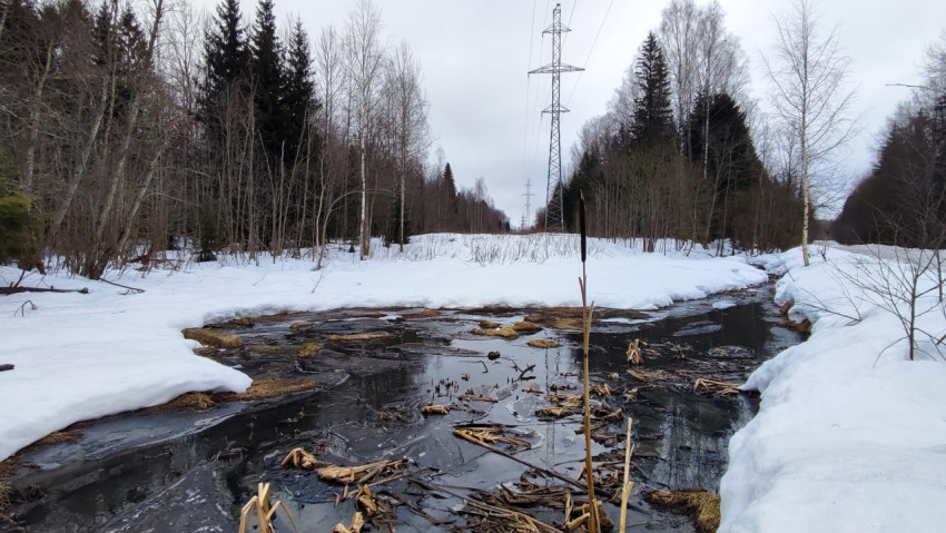Линия электропередачи над заснеженным болотом