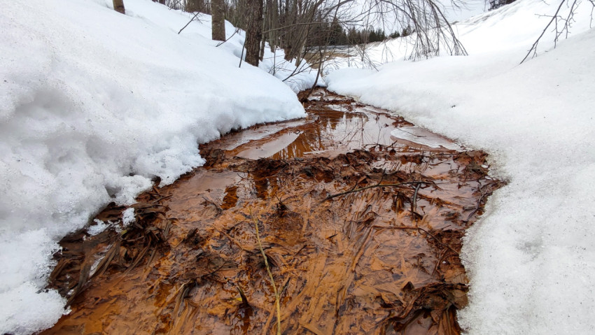 Весенний ручей с коричневатой водой под снежными берегами