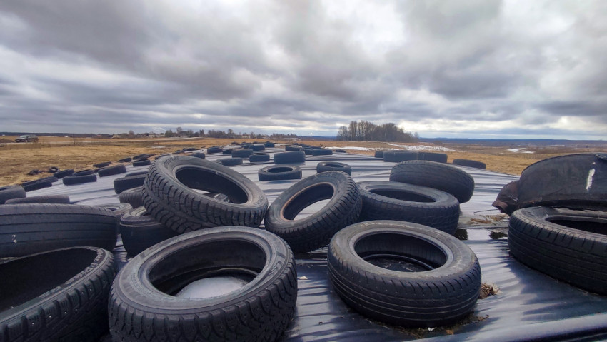 Герметичное укрытие силоса автомобильными шинами на ферме