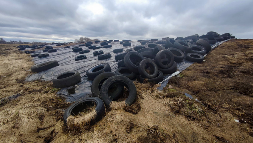 Силосная яма на поле, укрытая чёрной плёнкой и шинами