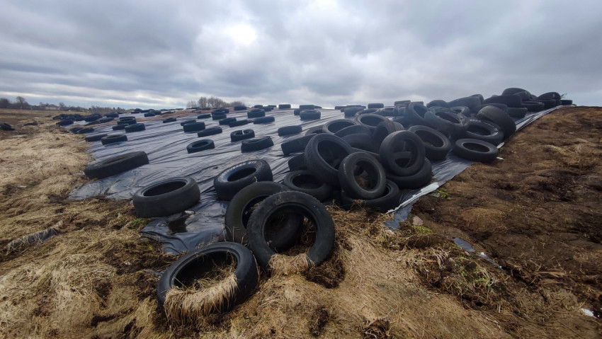 Силосное хранилище под полиэтиленовой плёнкой с утяжелением из шин