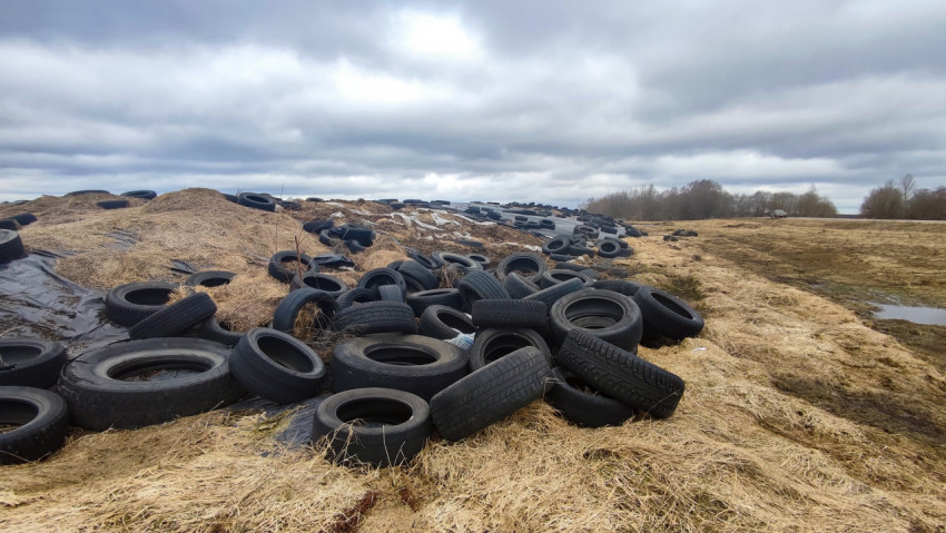 Силосная траншея, укрытая плёнкой и автомобильными шинами