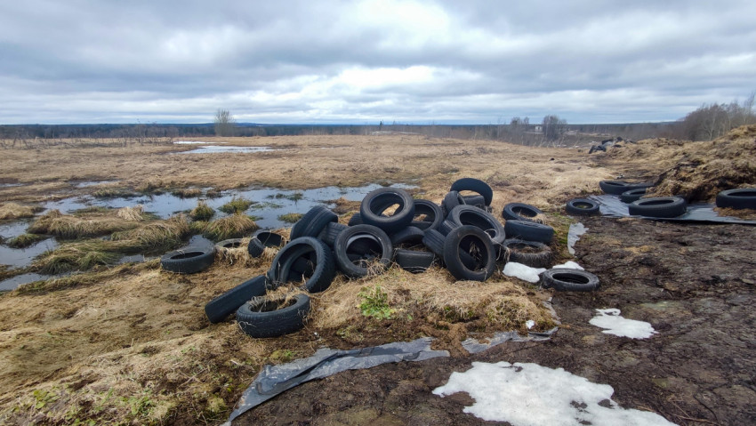 Силосное поле с кучей шин, используемых для укрытия кормов