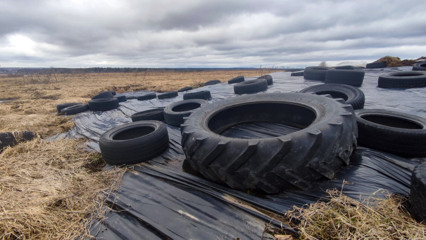 Тракторная и автомобильные покрышки как утяжелители на плёнке силоса