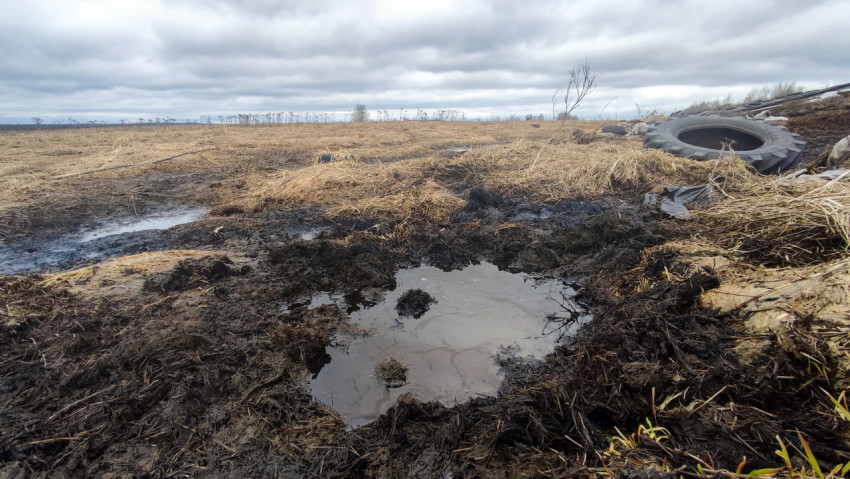 Глинистая почва с лужей и остатками растительности