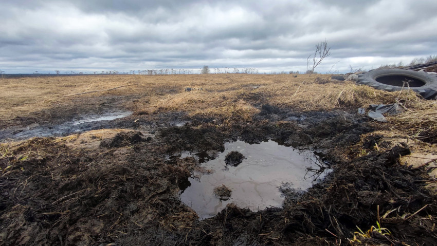 Влажная почва с остатками силоса и лужами на фермерском поле
