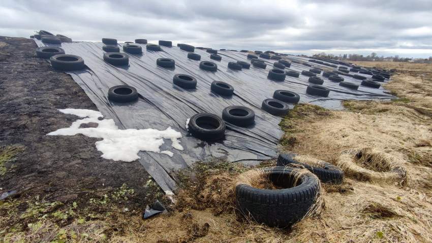Силосное хранилище, укрытое полиэтиленовой плёнкой и шинами