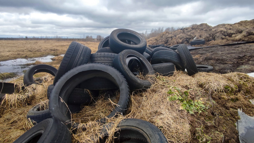Куча шин, применяемых при укрытии силоса на ферме