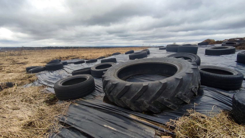 Силосное хранилище с тракторными и автомобильными шинами на укрытии