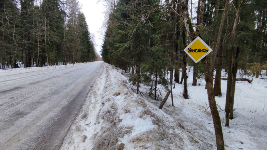 Лесная дорога и мотивационный знак «Улыбнись»