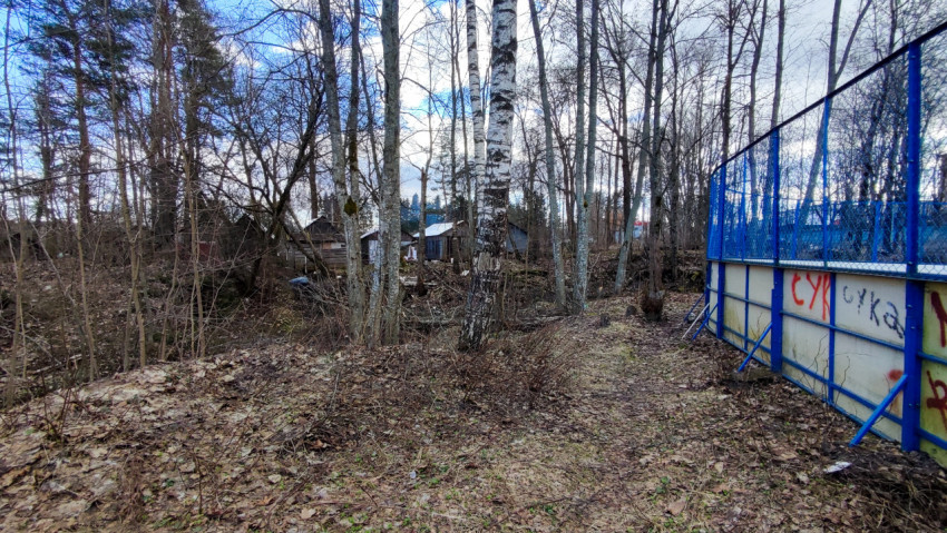 Лесная территория у ограждения с видом на дачные постройки