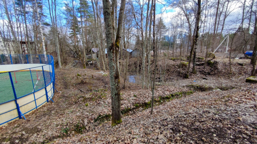 Лесная зона с видом на хоккейную коробку и хозяйственные постройки
