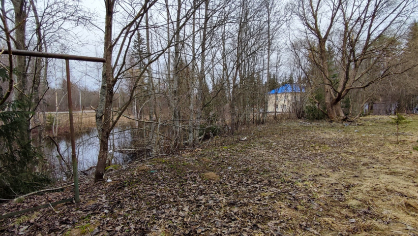 Берег водоёма с деревьями и домом на заднем плане