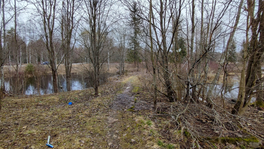 Тропа вдоль водоёма среди деревьев ранней весной