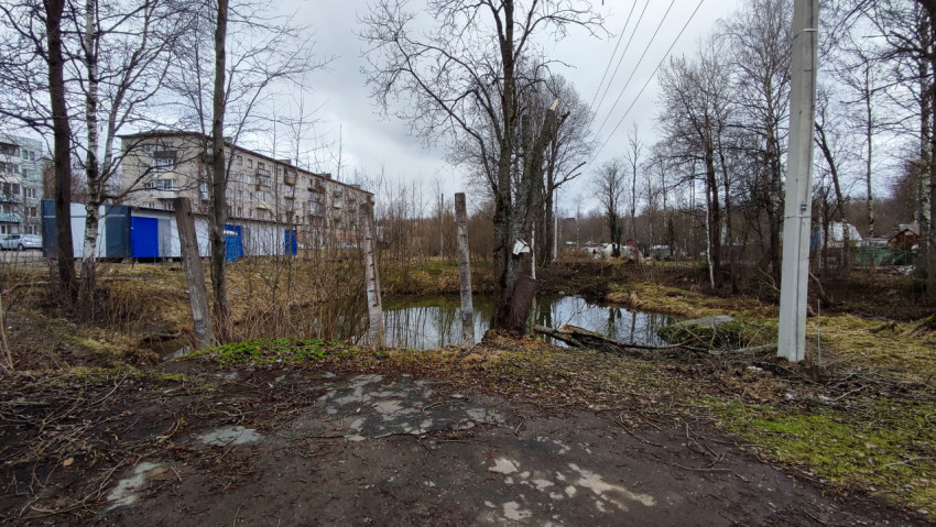 Гаражные боксы и канава у жилого дома