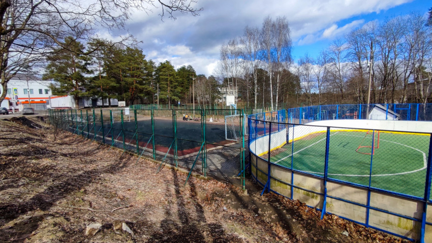 Спортивные площадки с ограждением на фоне жилой застройки и леса