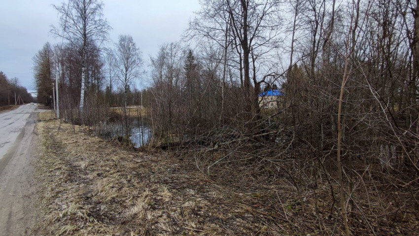 Загородная дорога у небольшого водоёма и лесополосы