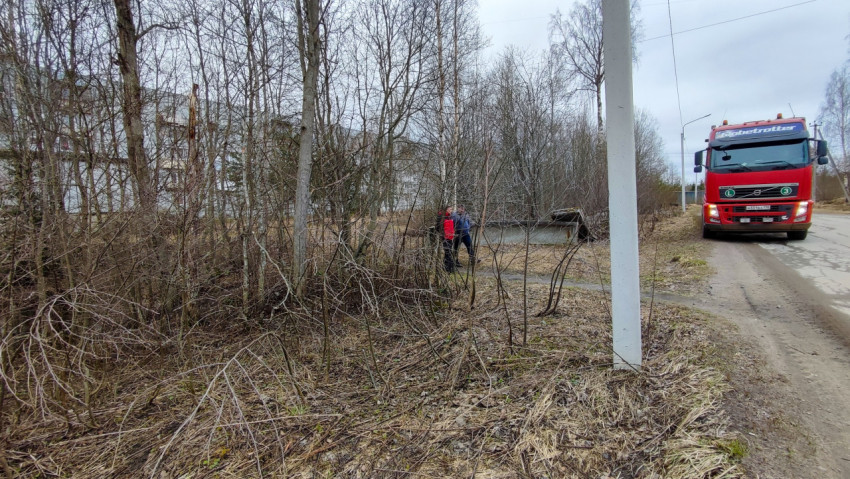 Грузовик на загородной дороге рядом с лесополосой
