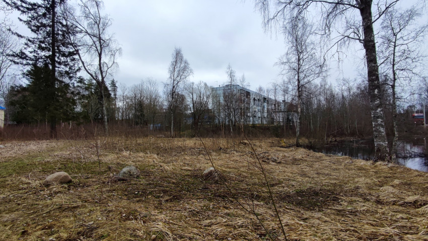 Пустырь с сухой травой и многоэтажным домом на фоне