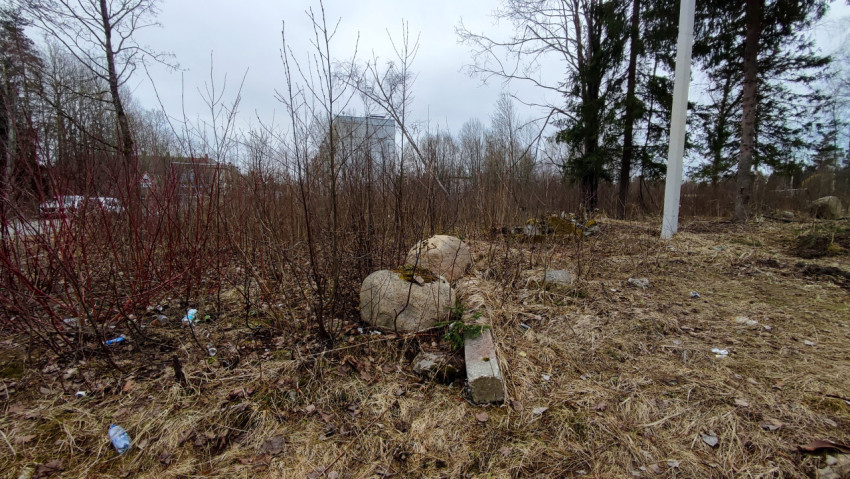 Камни и кустарник на заброшенном участке у дороги