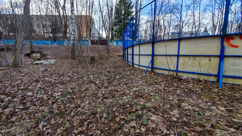 Лесной участок у ограждения спортивного корта