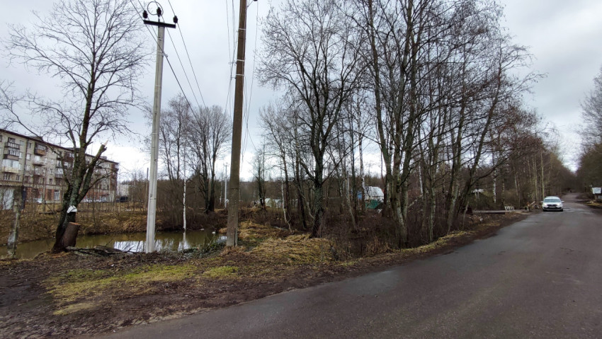 Линии электропередачи у лесистой зоны и водоёма
