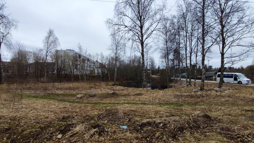 Пригородная территория с прудом, деревьями и дорогой