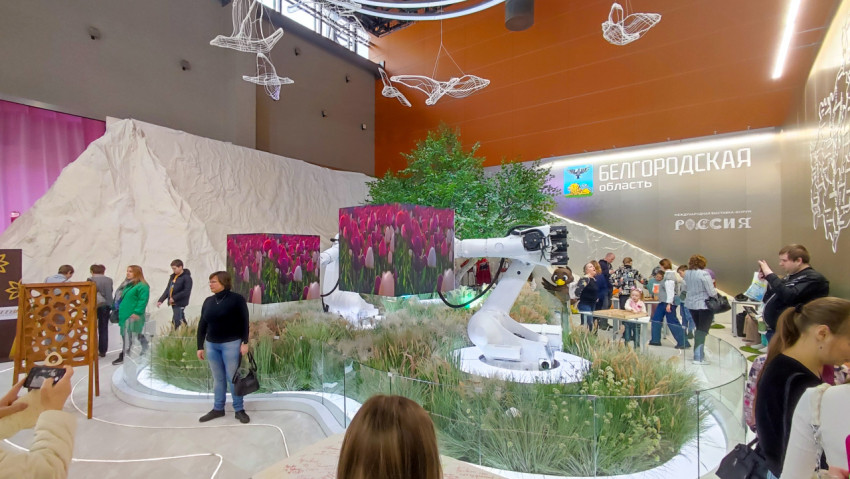 Зона с роботизированными манипуляторами и ландшафтной инсталляцией