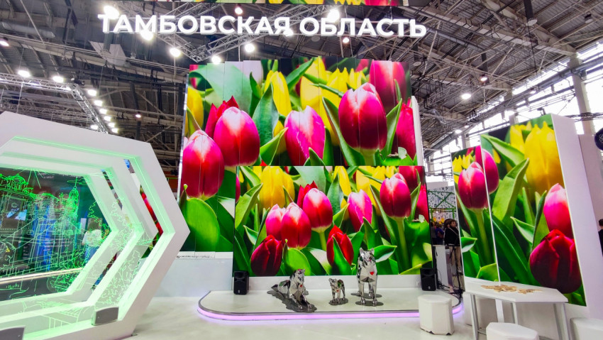 Экспозиция Тамбовской области с LED-панелями и скульптурами волков