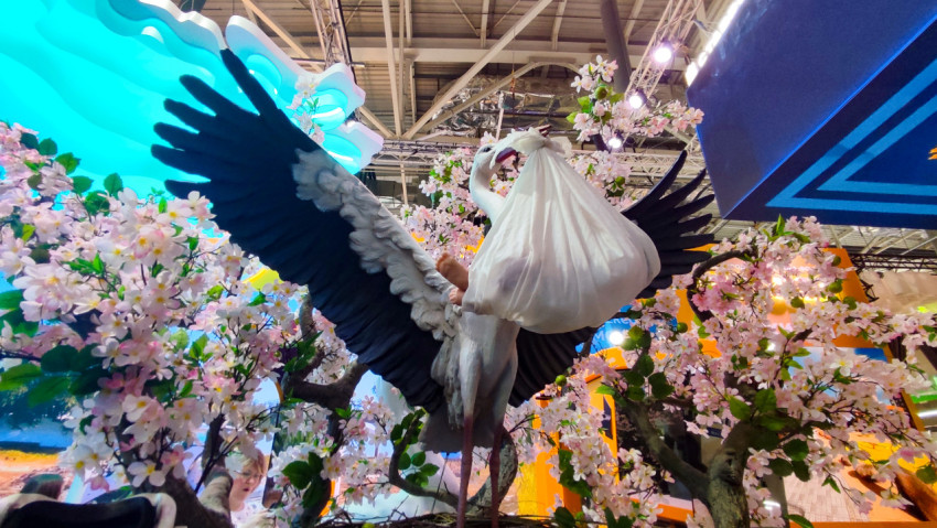 Декоративная инсталляция аиста на стенде региона выставки «Россия»