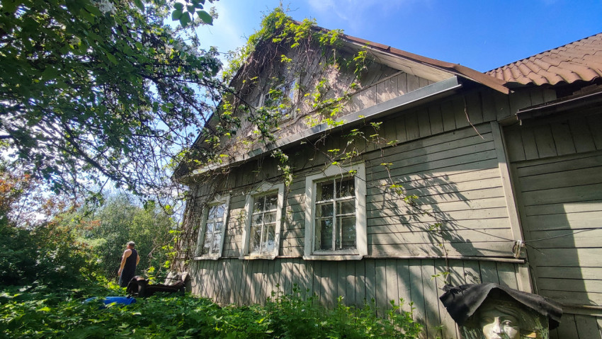 Деревянный дом с вьющимися растениями на фасаде