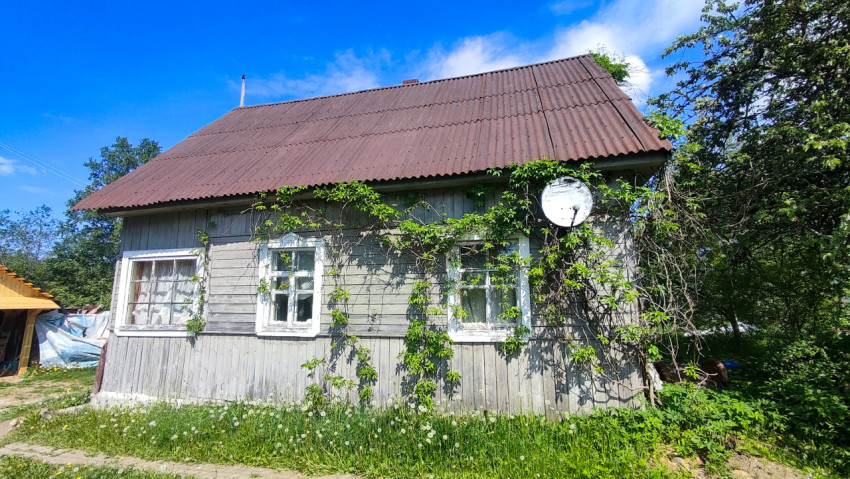 Деревянный дом с окнами и вьющимися растениями возле дорожки
