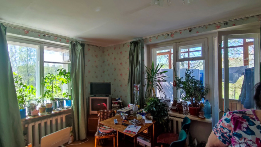 Жилая комната в городской квартире с множеством комнатных растений