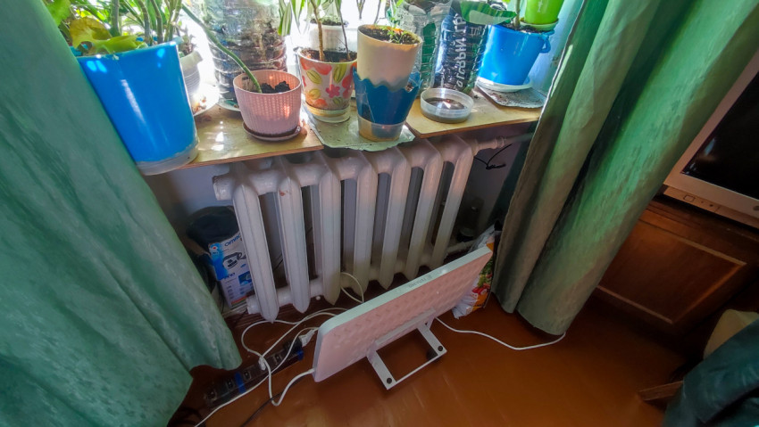 Подоконник с комнатными растениями и радиатором отопления