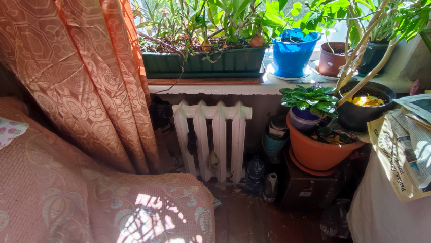 Подоконник с комнатными растениями и шторами в жилой комнате