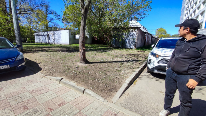 Парковочная зона с повреждённым деревом и легковыми автомобилями