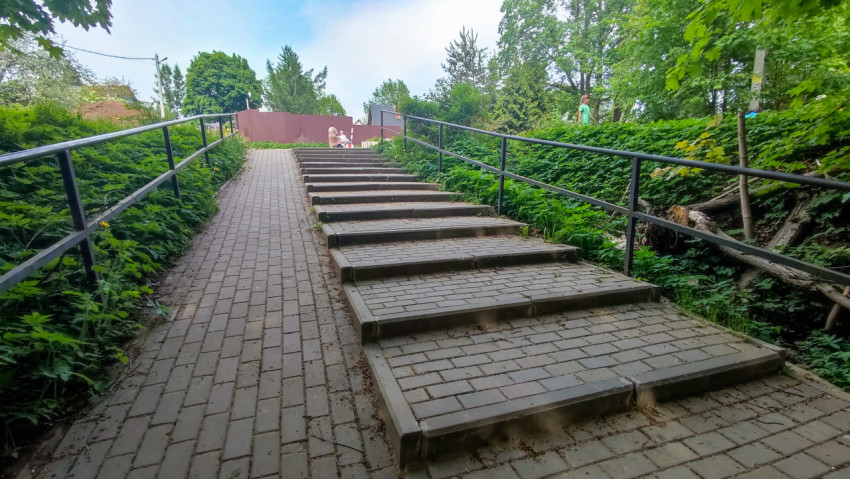 Лестничный подъём с перилами и густой растительностью по обе стороны